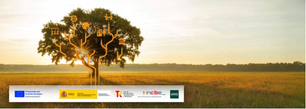 TransenerCyL CIUDEN participa en el curso “IoT and Cybersecurity in Rural Environments: Trends and Best Practices”